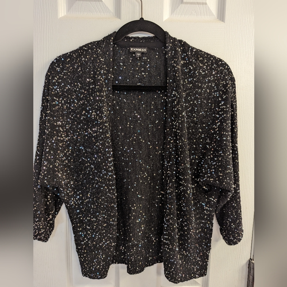 Express sequin 3/4 sleeve sweater.